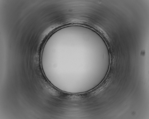 X0000091071027200708201405