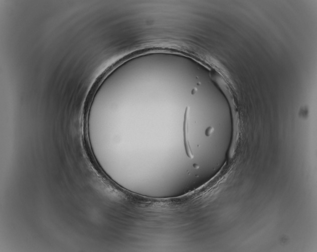 X0000091071028200708201405