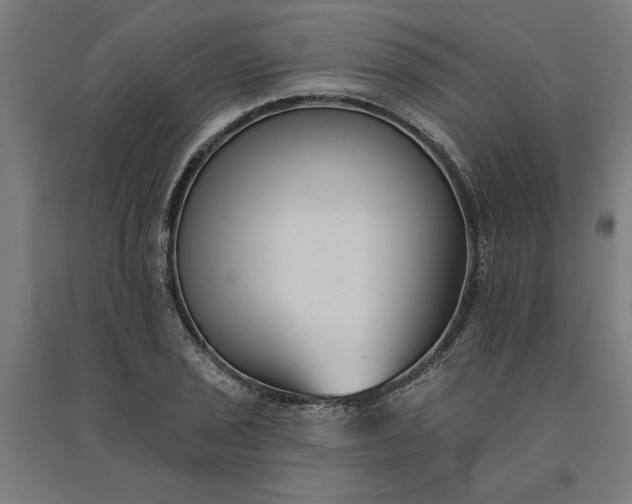 X0000091071029200708201405