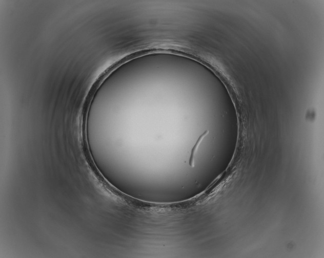 X0000091071032200708201405