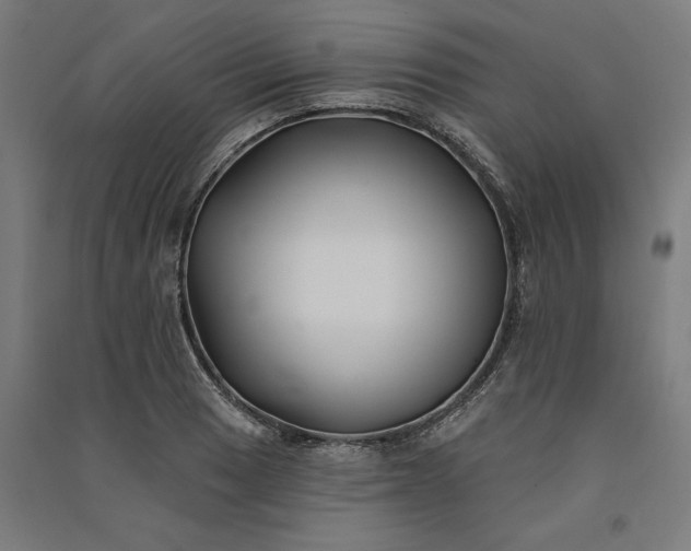 X0000091071033200708201405