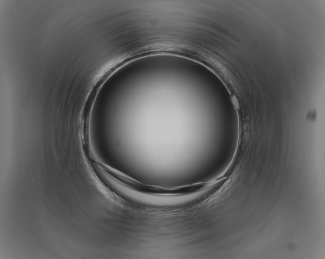 X0000091071034200708201405