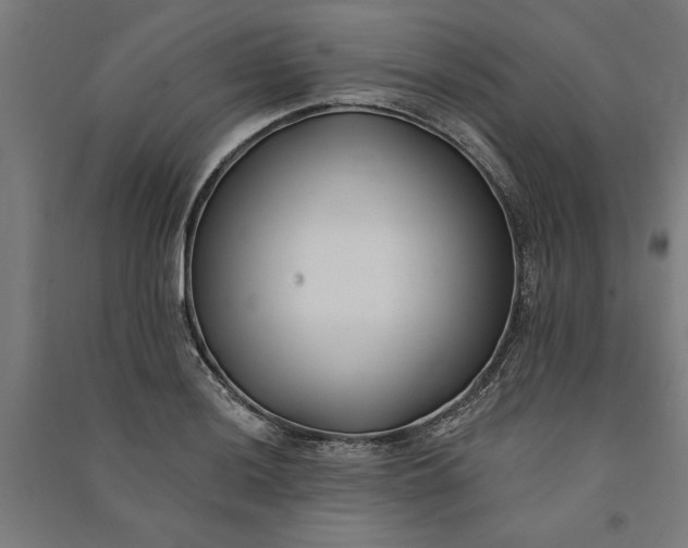 X0000091071036200708201405