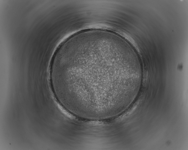 X0000091071037200708201405