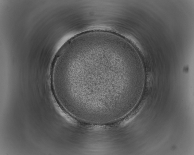 X0000091071038200708201405