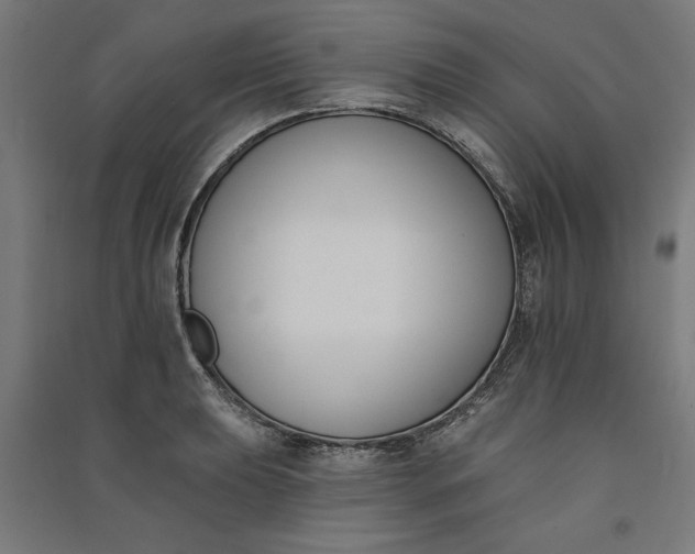 X0000091071039200708201405