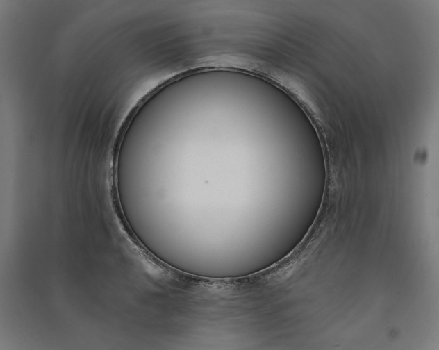 X0000091071040200708201405