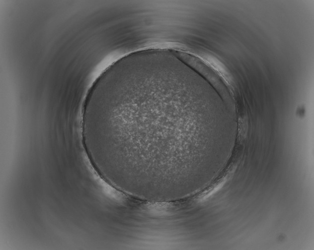 X0000091071046200708201405