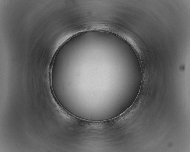 X0000091071047200708201405