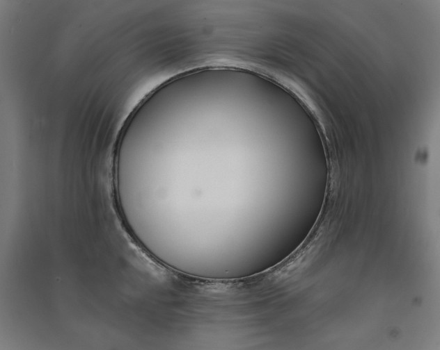 X0000091071048200708201405