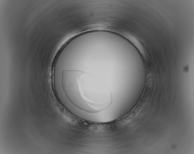 X0000091071051200708201405