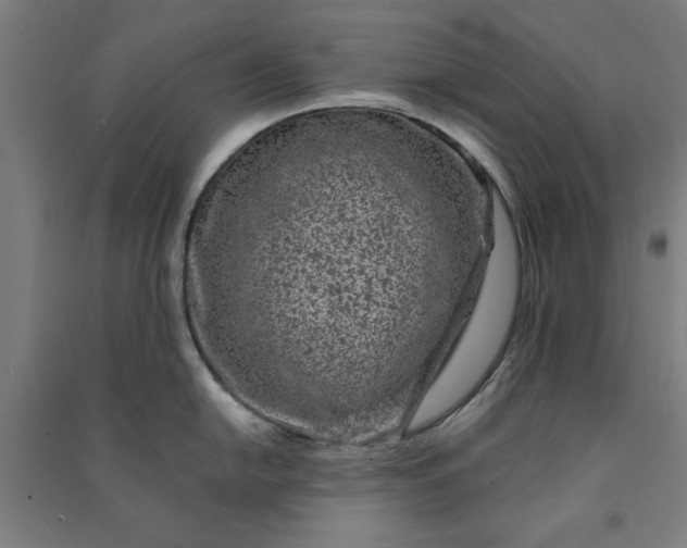 X0000091071054200708201405