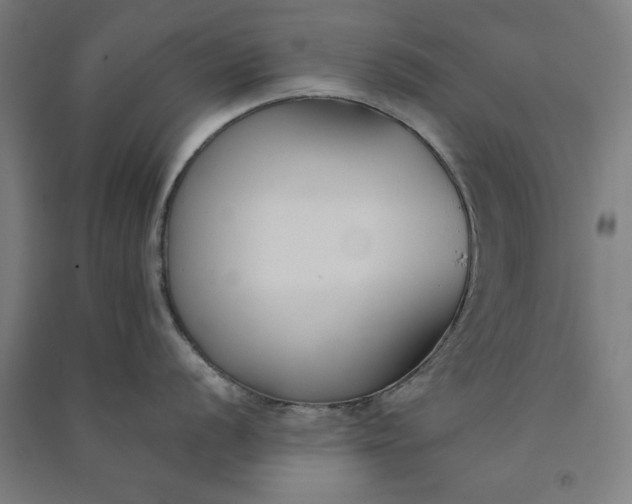 X0000091071056200708201405