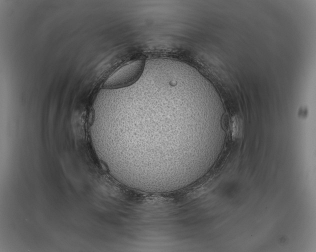 X0000091071059200708201404