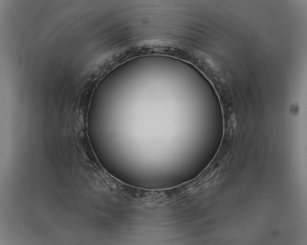 X0000091071062200708201404