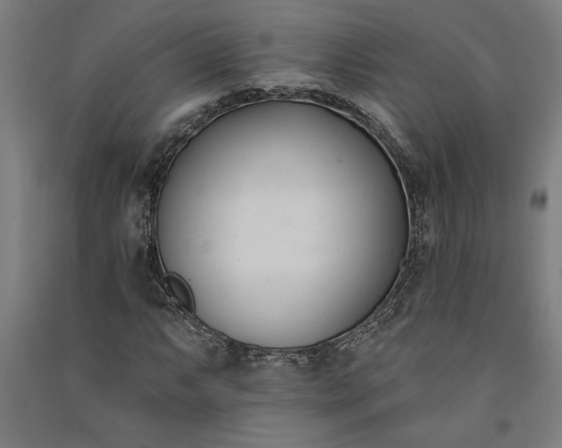 X0000091071063200708201404