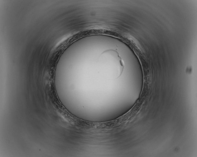 X0000091071064200708201404