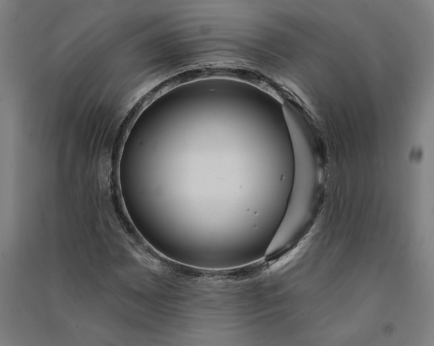 X0000091071065200708201404