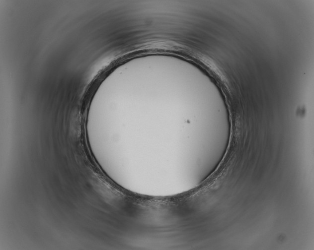 X0000091071067200708201404