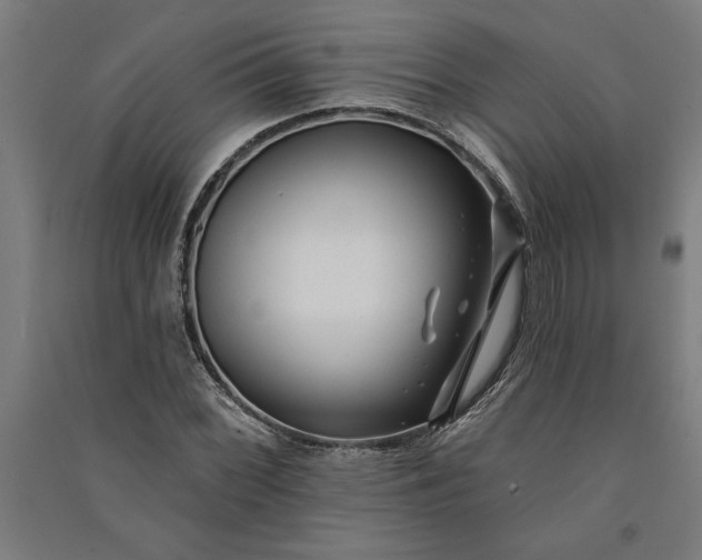 X0000091071068200708201404