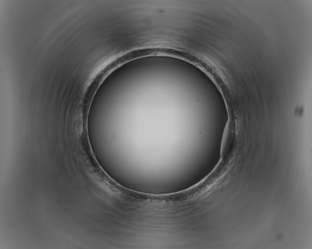 X0000091071069200708201404