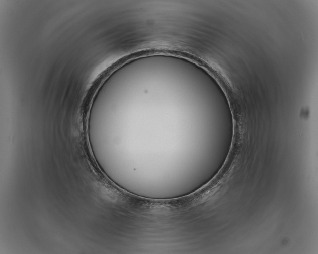 X0000091071070200708201404