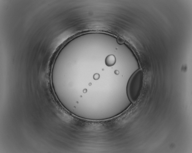 X0000091071071200708201404