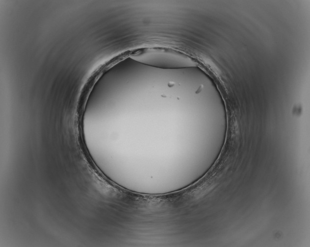 X0000091071072200708201404