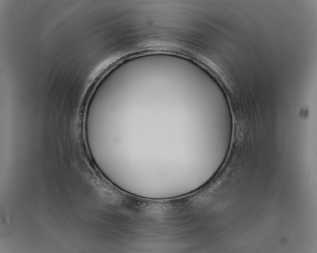 X0000091071074200708201404