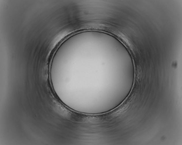 X0000091071075200708201404