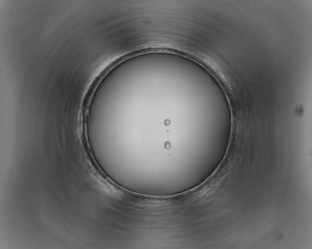 X0000091071076200708201404