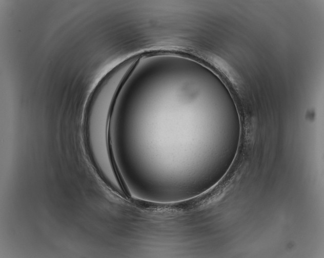 X0000091071077200708201404