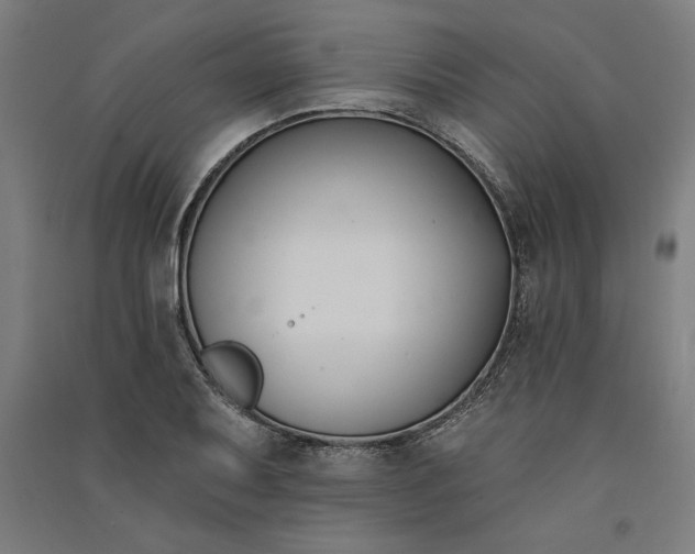 X0000091071079200708201404