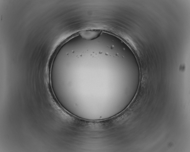 X0000091071080200708201404