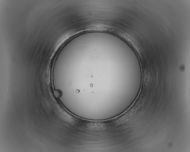 X0000091071083200708201404