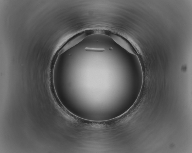 X0000091071085200708201404