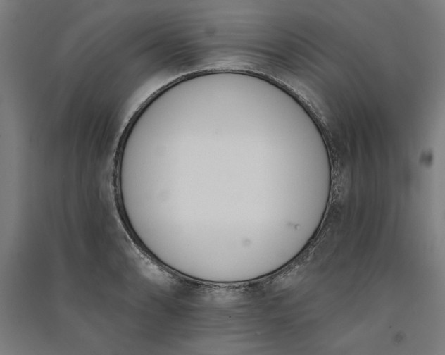 X0000091071086200708201404