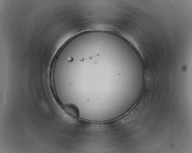 X0000091071091200708201404