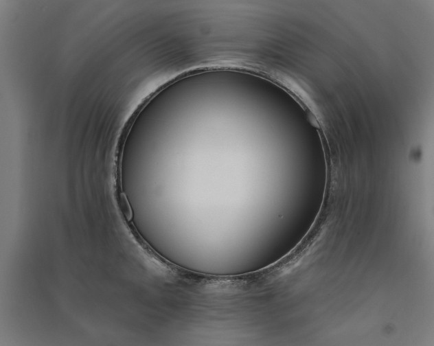 X0000091071093200708201404