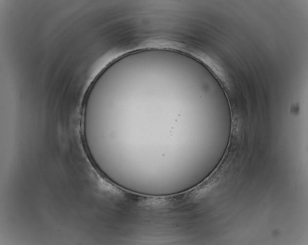 X0000091071094200708201404