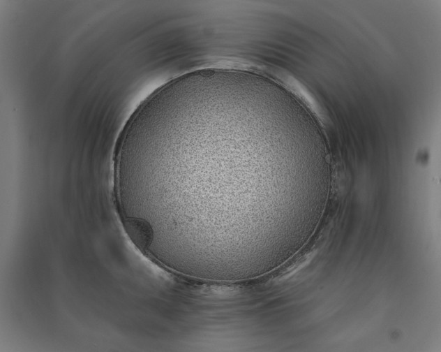 X0000091071095200708201404