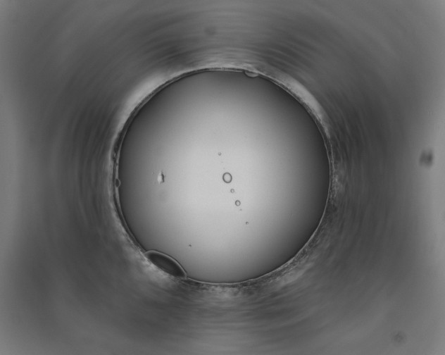 X0000091071096200708201404