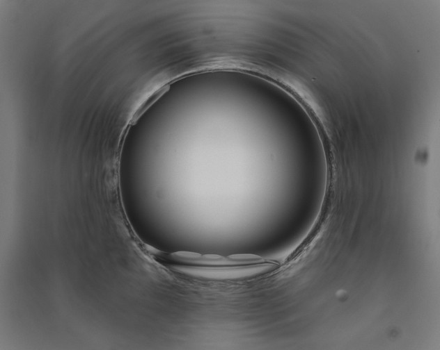 X0000091071097200708201404