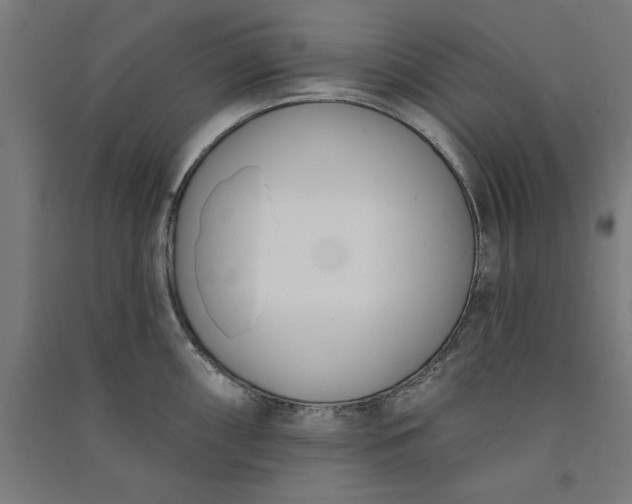 X0000091071098200708201404