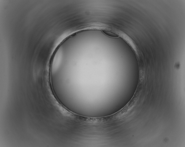 X0000091071099200708201404