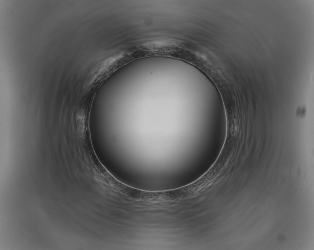 X0000091071108200708201403