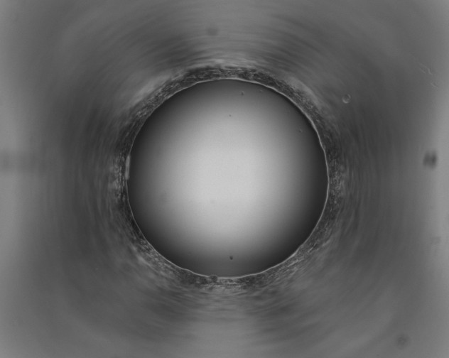 X0000091071110200708201403