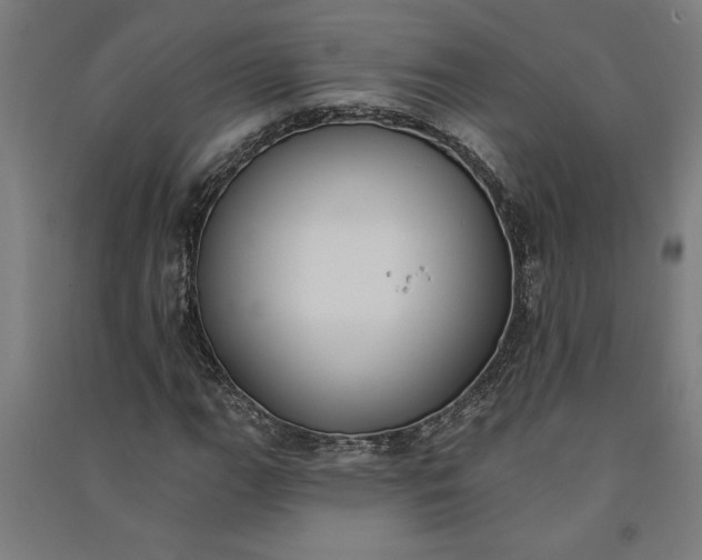 X0000091071111200708201403