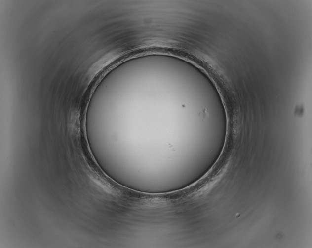 X0000091071113200708201403