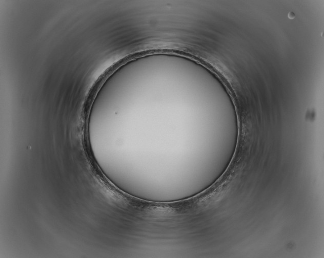 X0000091071119200708201403